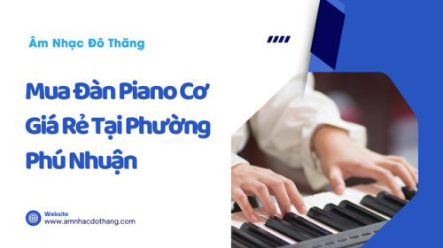 Mua Đàn Piano Cơ Giá Rẻ Tại Phường Phú Nhuận