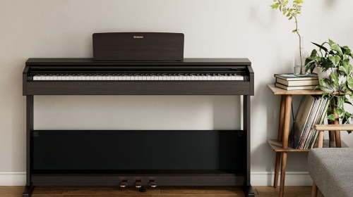 Học đàn Piano tại Thảo Điền Quận 2 Thứ Hai, Thứ Tư