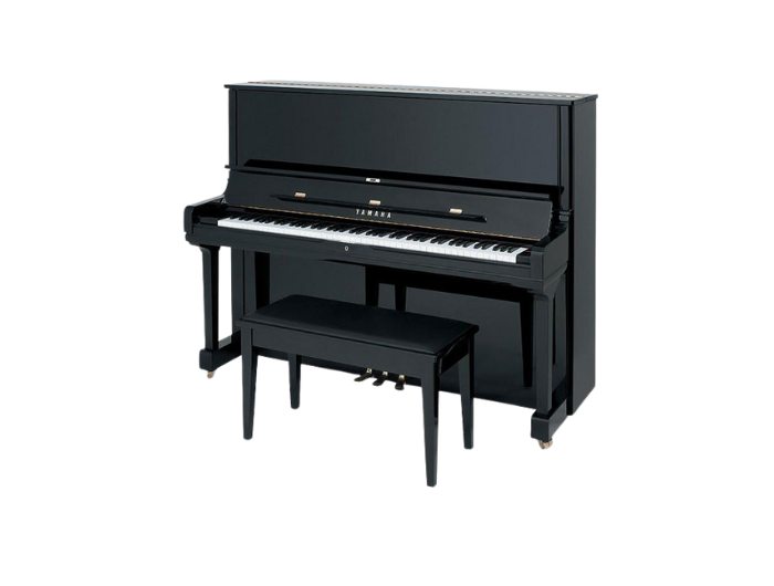 Đàn Piano Là Gì? tại âm nhạc đô thăng 