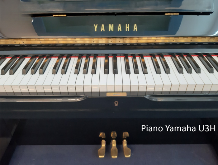 Các Tính Năng Nổi Bật tại âm nhạc đô thăng