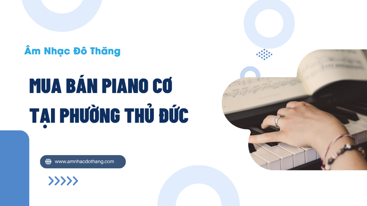 Mua Bán Piano Cơ Tại Phường Thủ Đức – Dịch Vụ Chất Lượng, Uy Tín tại âm nhạc đô thăng