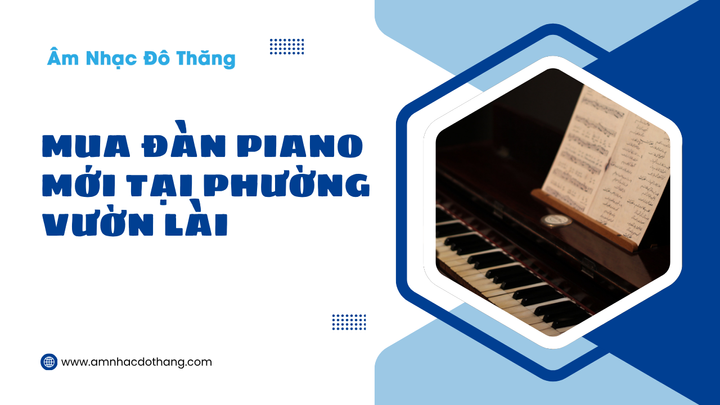 Mua Đàn Piano Mới Tại Phường Vườn Lài – Chất Lượng Cao, Giá Cả Hợp Lý tại âm nhạc đô thăng