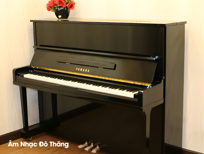 Piano Cơ: Sự Lựa Chọn Hoàn Hảo Cho Người Yêu Nhạc tại âm nhạc đô thăng