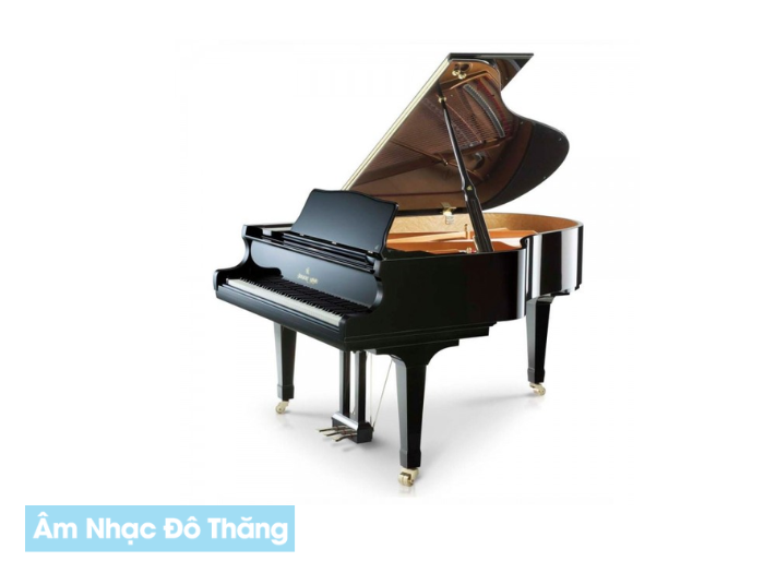Piano Cơ – Lý Do Tại Sao Nên Lựa Chọn tại âm nhạc đô thăng