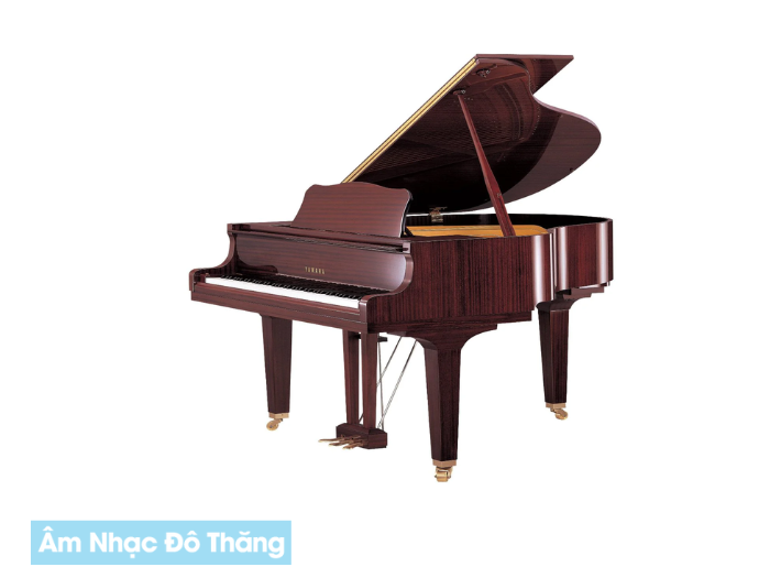 Piano Cơ Và Những Kỹ Thuật Đánh Phím Cơ Bản tại âm nhạc đô thăng