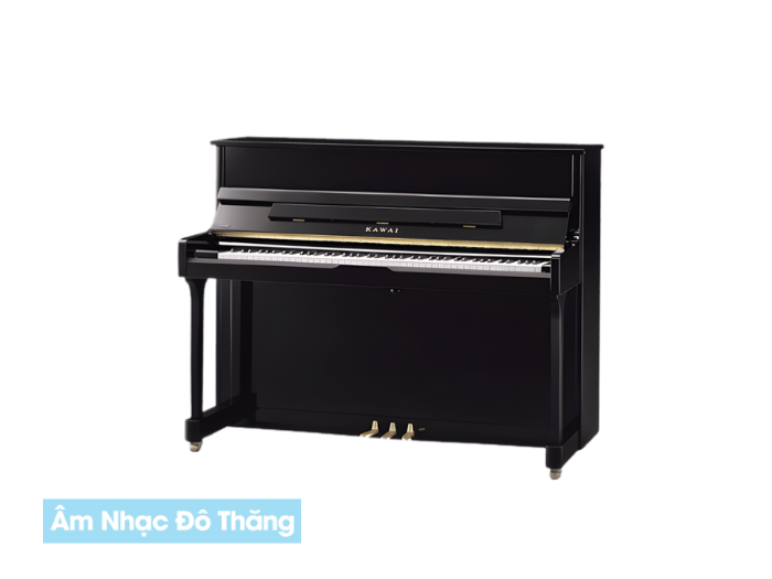 Công Ty TNHH ÂM NHẠC ĐÔ THĂNG 